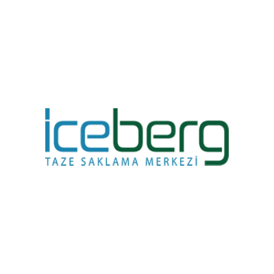Iceberg